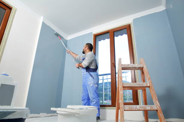 Best Residential Painting  in La Vale, MD