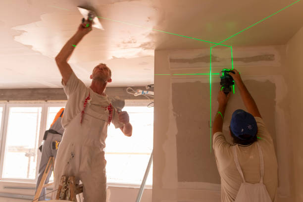 Best Drywall Sanding and Smoothing  in La Vale, MD